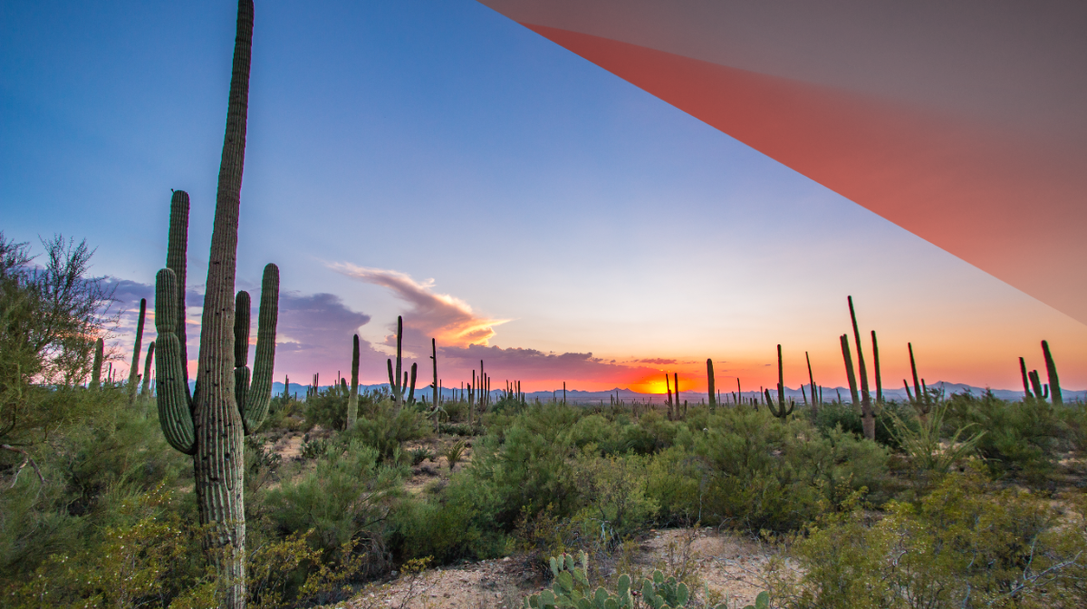 A Guide to Buying a House in Arizona in 2023 Orchard